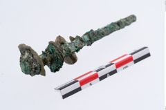 Foto von Bronzespinnrocken (NHMW-PRAE-035749)